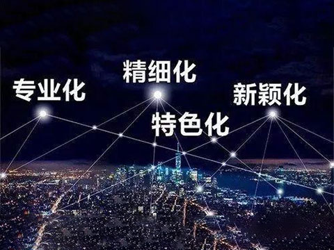 金凯地被广东省工业和信息化厅评选为专新特精企业